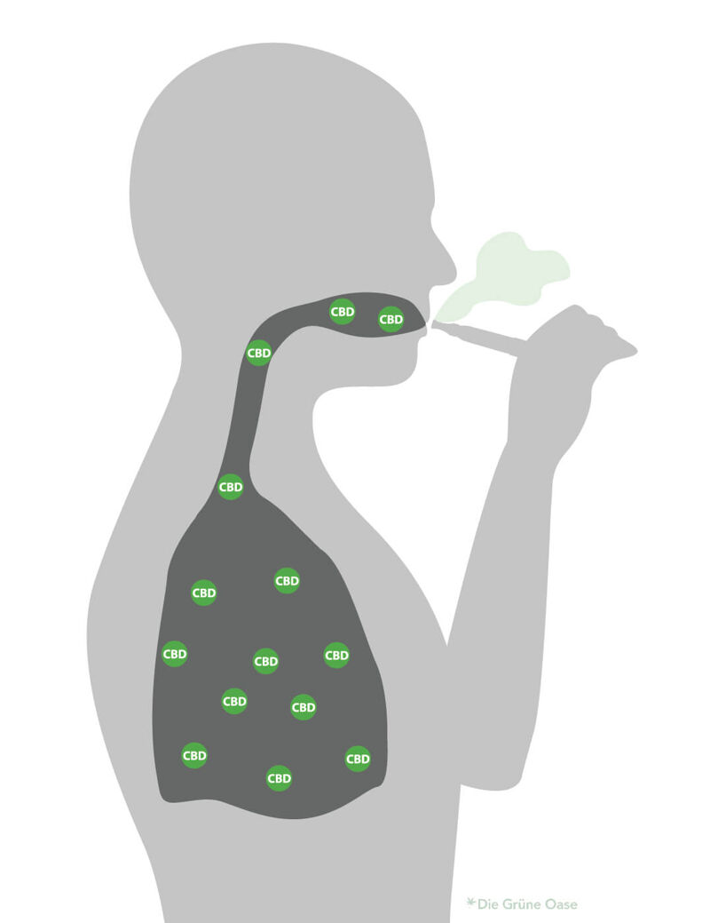 CBD Verdampfen über die Lunge